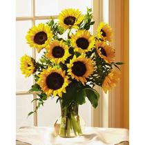 Sunny Sunflowers for any occasion!