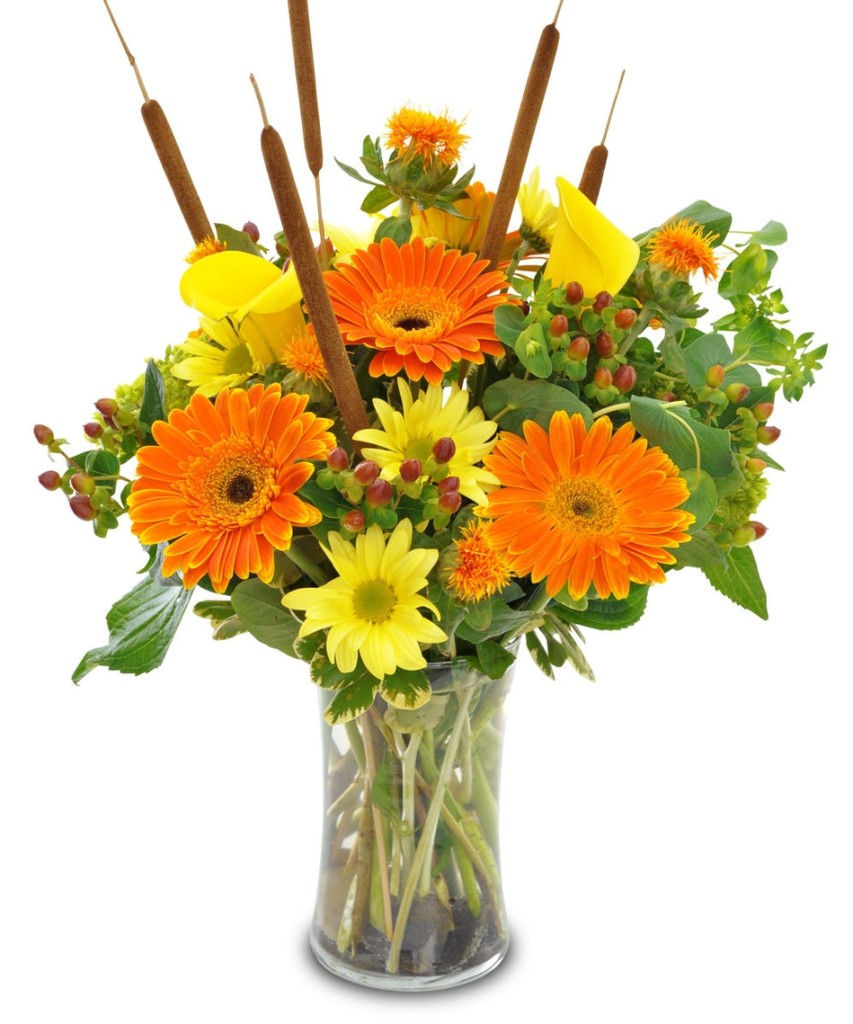 The Best Types of Flowers to Send on Sweetest Day Nanz and Kraft Florists