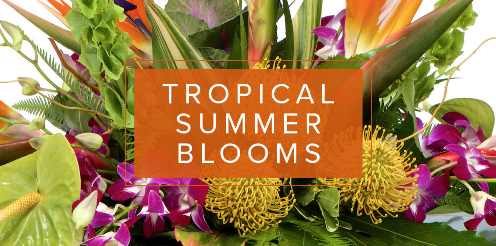 Lifestyle-TropicalSummer-blog
