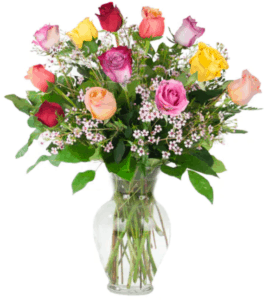 One dozen of the finest Ecuadorian roses carefully hand selected and arranged in a clear glass vase with accent flowers such as baby's breath, Monte Casino, or wax flower