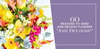 Elegant-60Reasons-blog