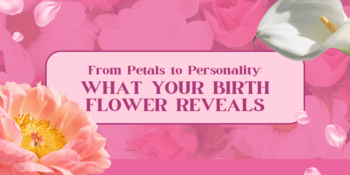 The Ultimate Guide to Birth Flowers and Florals That Match Their Mood -  Nanz and Kraft Florists